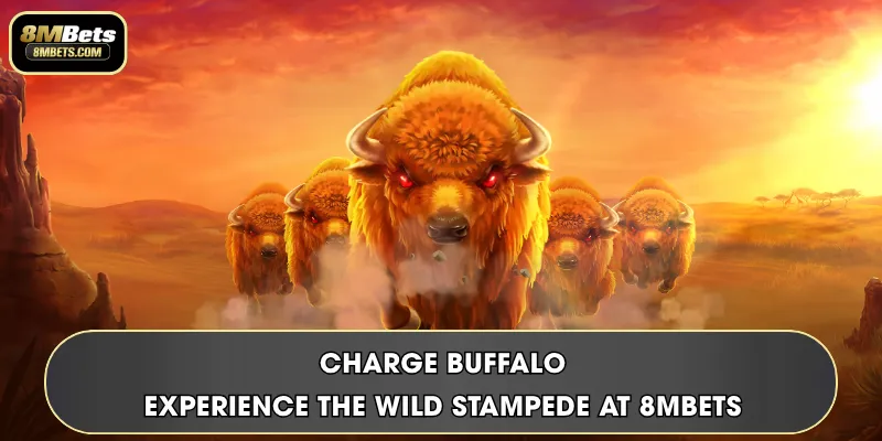 Charge Buffalo | Experience The Wild Stampede At 8MBets