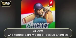Cricket - An Exciting Game Worth Choosing At 8MBets