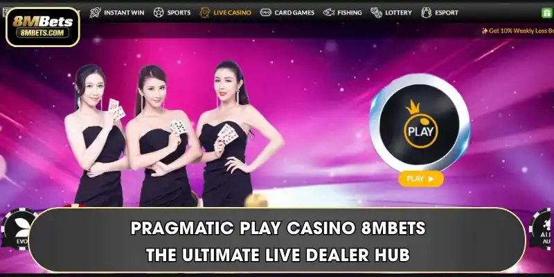 Pragmatic Play Casino 8MBets - The Ultimate Live Dealer Hub