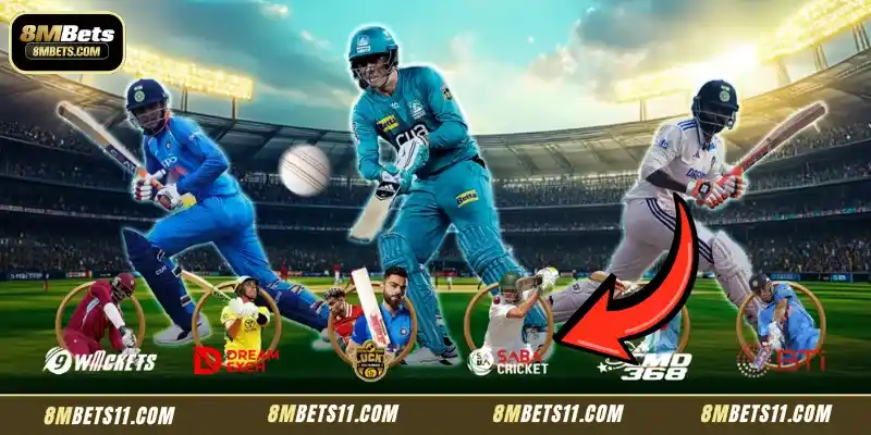 A Brief Introduction to Saba Cricket