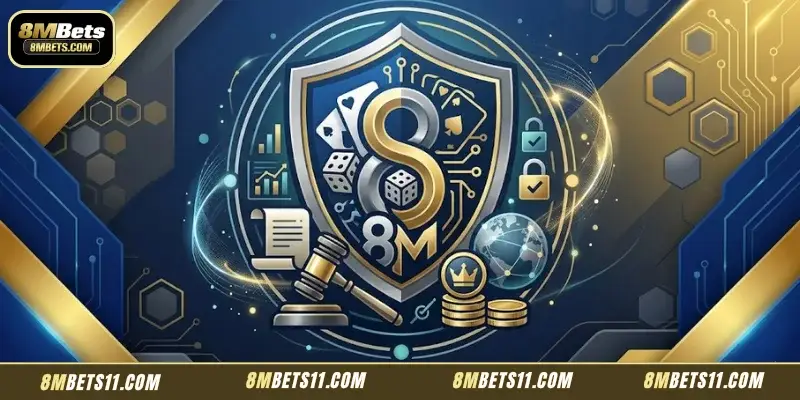 An Overview Of 8MBets Terms And Conditions