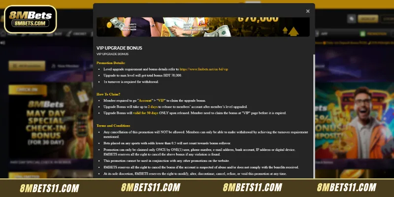 Comprehensive overview of the VIP upgrade bonus structure