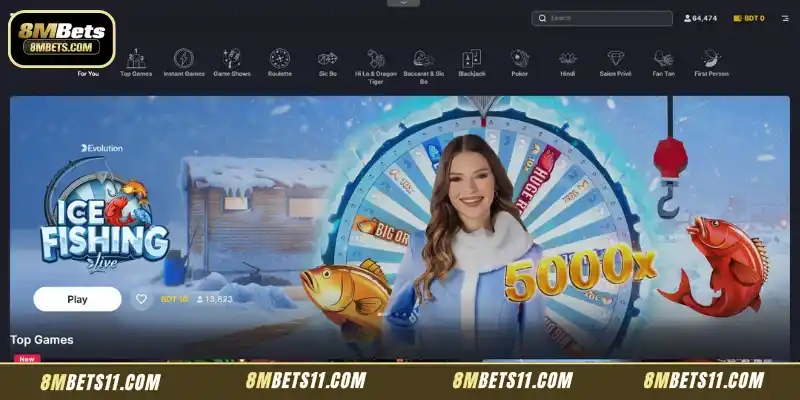 Overview of Evolution Casino